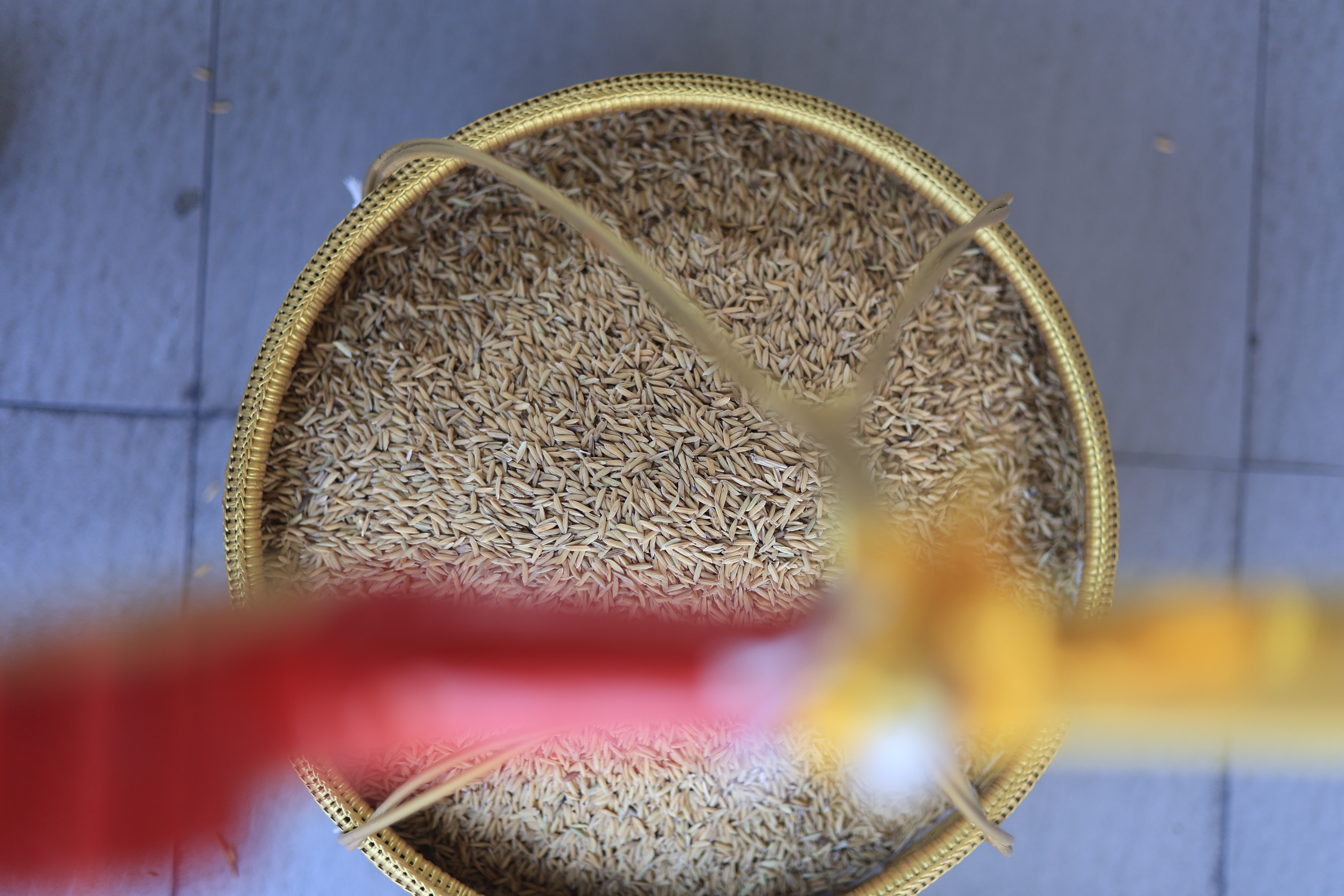 title - ส.ป.ก. ร่วมฝึกซ้อมริ้วขบวนอิสริยยศ ในพระราชพิธีพืชมงคลจรดพระนังคัลแรกนาขวัญ ประจำปี 2569 (ซ้อมกรณีพิเศษ ครั้งที่ 2)